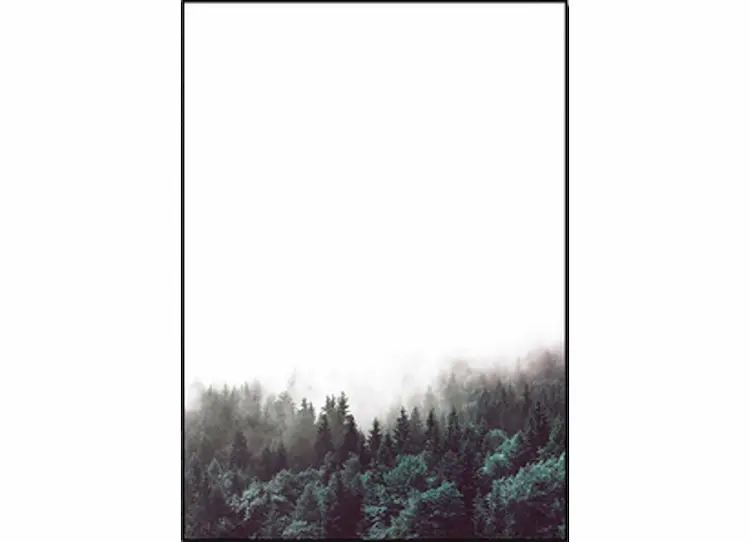 null | Mysterious Forest - Wall Art Print